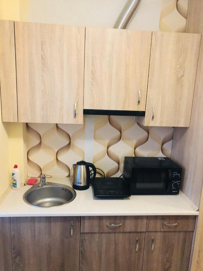 Comfortable Apartment Near Metro ハルキウ エクステリア 写真